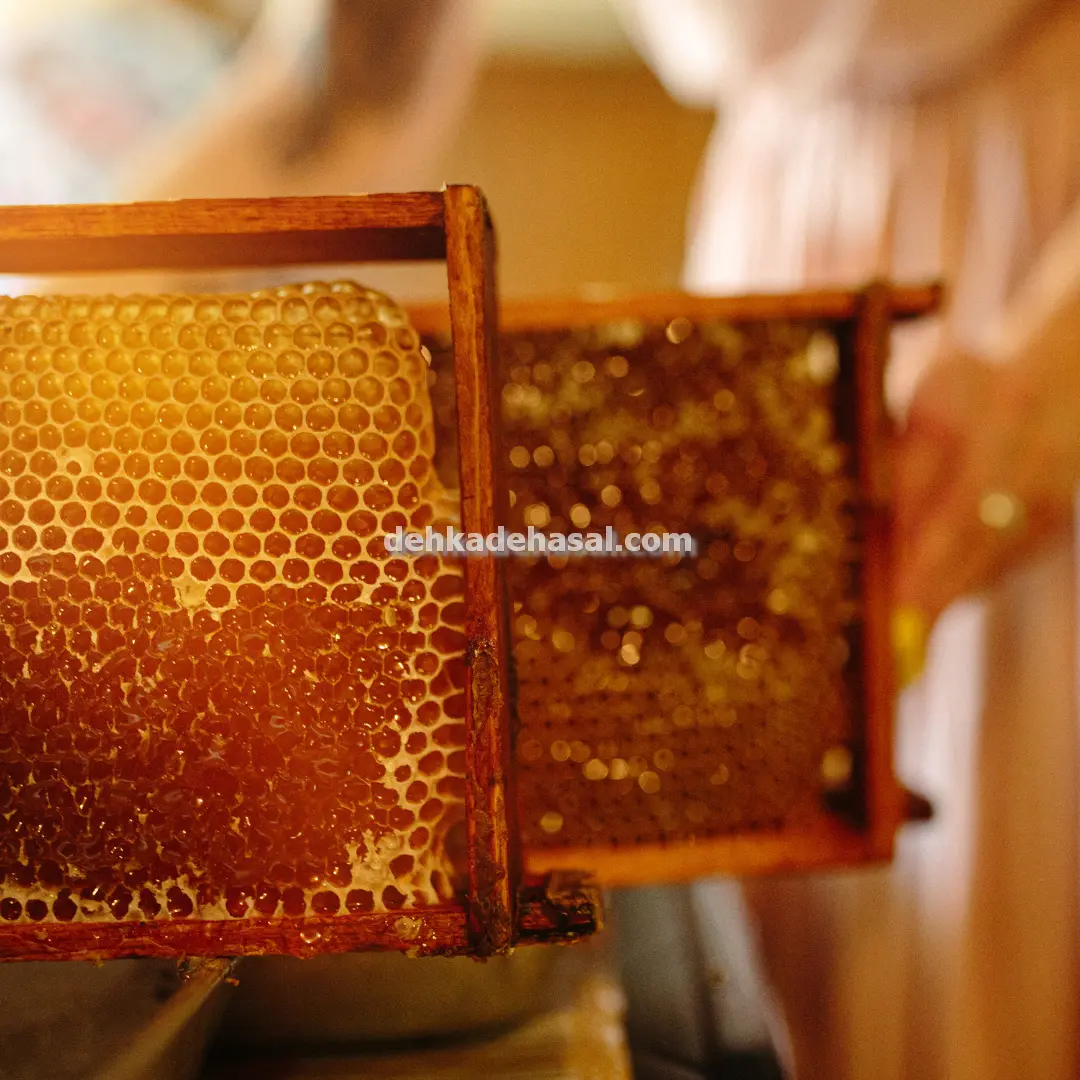 صادرات عسل در فارس بختگان